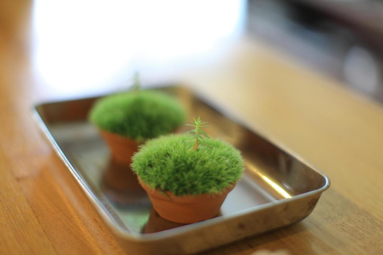 مبيت وإفطار Yakushima Minsyuku Suginoko المظهر الخارجي الصورة